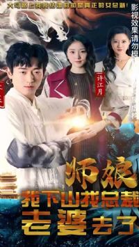 ʦ������ɽ���ܲ�������