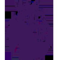 Ӣ�� ˮ����vs������20251109