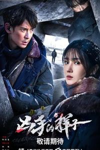 ���ֵ�����