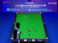 2025˹ŵ���人���������� Ф����10-9�������ѷ���ڶ��׶Σ����������̽��ң���50֡ԭ���� 20250830